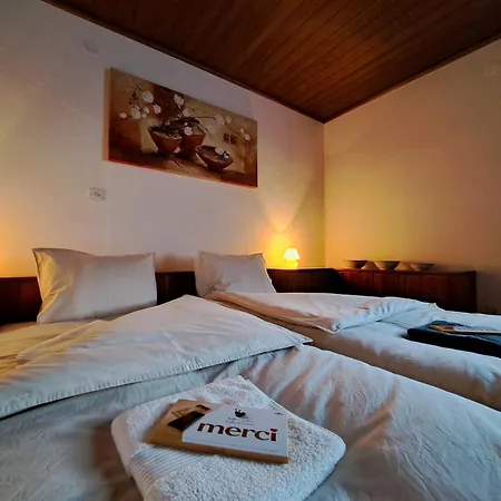 Apartment Apartma Zdessar - 160 M2 With Classic Car Garage!