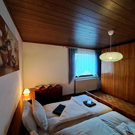 Apartment Apartma Zdessar - 160 M2 With Classic Car Garage!