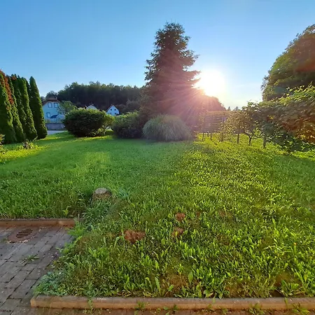 Apartment Apartma Zdessar - 160 M2 With Classic Car Garage! Medvode